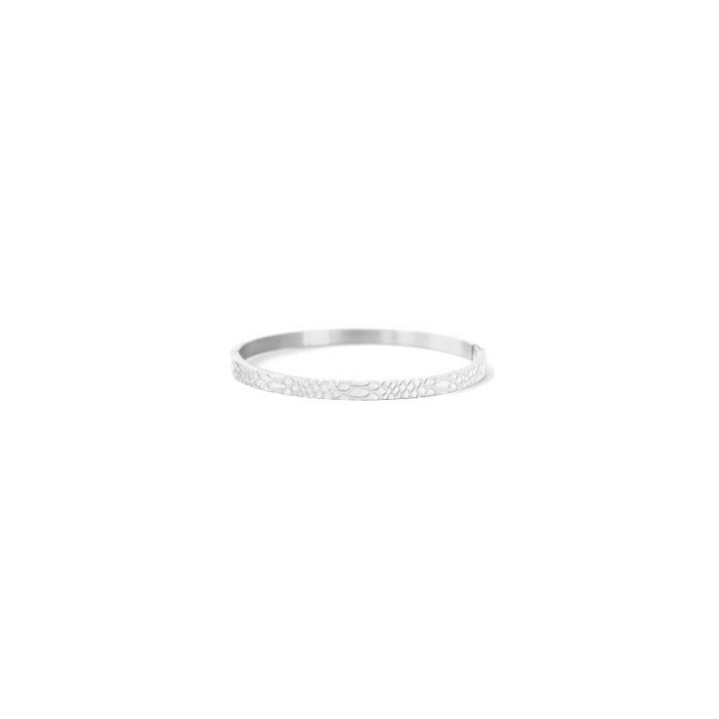 Bracelet acier inoxydable serpent Argenté